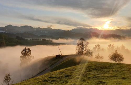 Hergiswil bei Willisau Apartment | Apartment Ober-Tiefenbühl