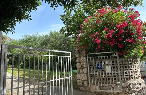 Rab Town Apartment | Apartment Oliva Mediterranean garden,Paradise beach