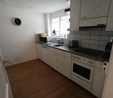 Meilen District Apartment | Apartment on 2 floors