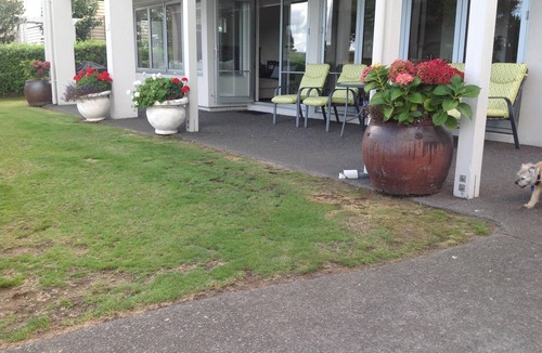 Hilltop Apartment | Apartment on Crowther