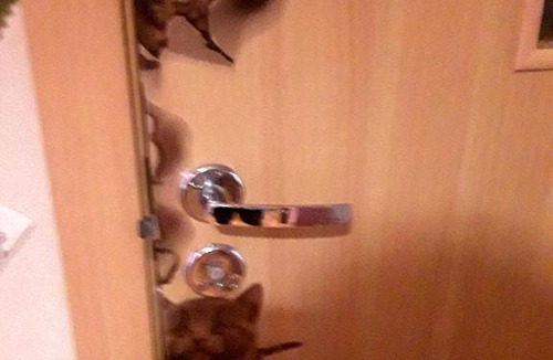 Gorki Gorod Apartment | Apartment on Estonskaya 37