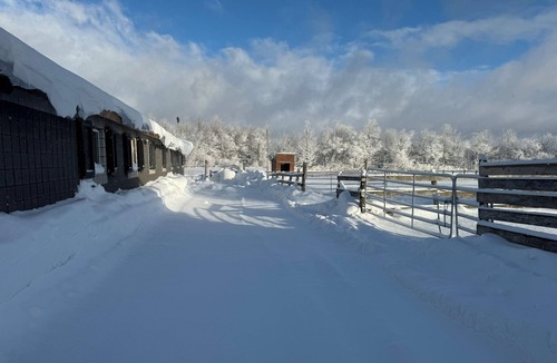 Glen Huron Apartment | Apartment on Horse ranch