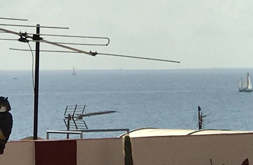 Raval Roig House | Apartment on the beach front of Postiguet
