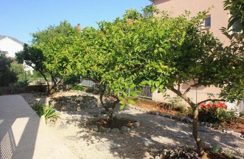 Orebic Apartment | Apartment Orebic 10082b