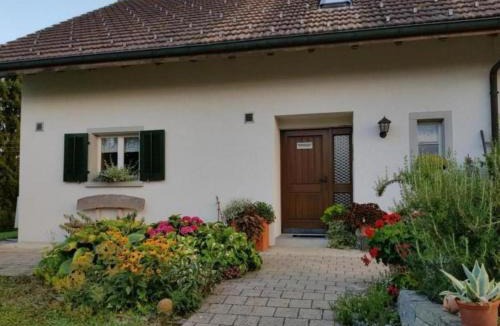 Andelfingen District Apartment | Apartment Pünthof by Interhome
