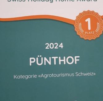 Andelfingen District Apartment | Apartment Pünthof by Interhome