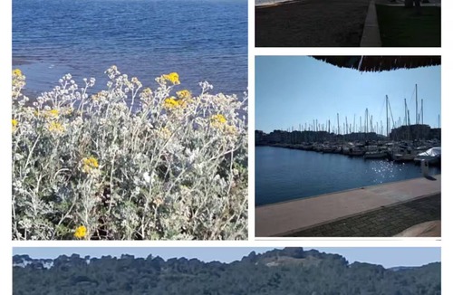 Port Rive Gauche Apartment | Apartment Paradis Gruissan