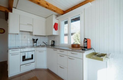 Amden Apartment | Apartment Perlita