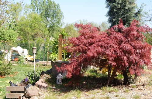 Berling Apartment | Apartment Petite Vallée