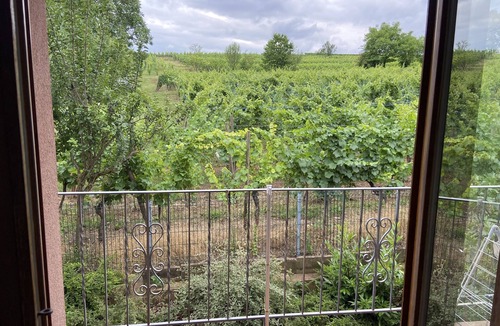 Beblenheim Cottage | Apartment Pinot 4 persons