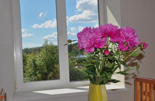 Severtsevo Apartment | Apartment Pion