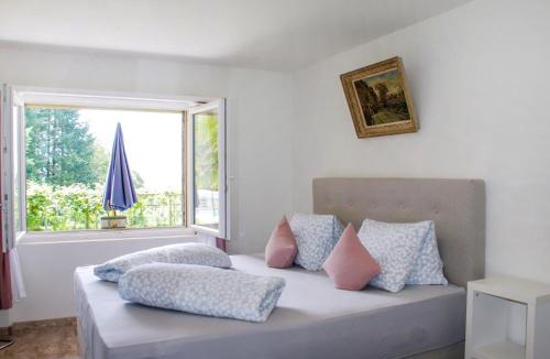 Negrentino Apartment | Apartment Poolside by Interhome