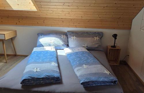 Fluehli Apartment | Apartment Rothornblick by Interhome