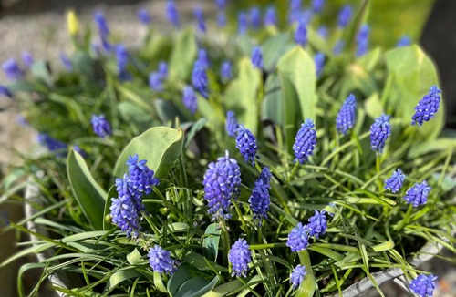 Dunkær Bed & Breakfast | Apartment Ruhetgaard Bed & kitchen