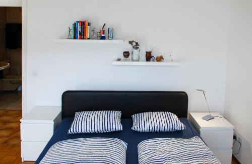 Minusio Apartment | Apartment San Quirico by Interhome