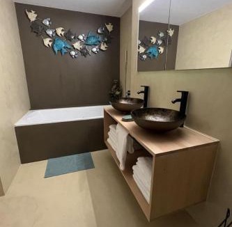 Schaffhausen Apartment | Apartment South Beach Apartment 10km Rheinfall by Interhome