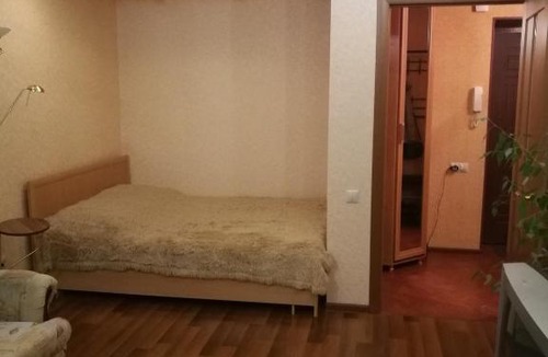 Nizhniy Novgorod City Centre Apartment | Apartment Sutochno.nnov