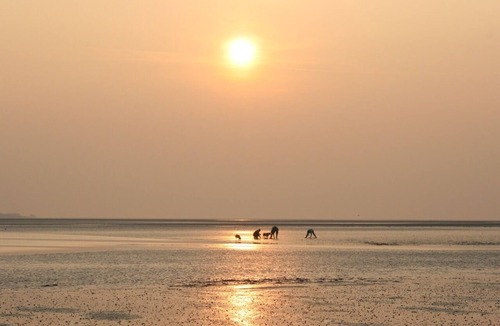 Le Crotoy Apartment | Apartment T2- Le CROTOY- Baie de SOMME- Vue mer -recent