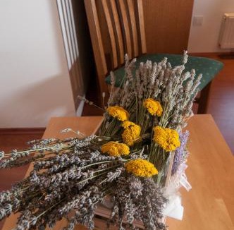 Zvonece Apartment | Apartment Tre Rose