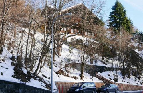 Zweisimmen Nr Gstaad Apartment | Apartment Tree-Tops- Chalet by Interhome