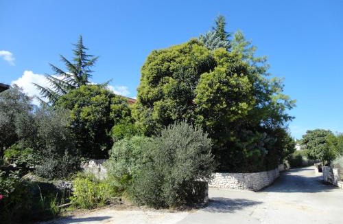 Cove Tri Zala (Zrnovo) Apartment | Apartment Villa Green Court