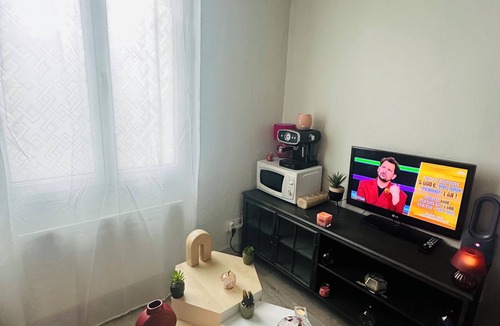 Villeneuve-sur-Lot Apartment | Apartment with large garden
