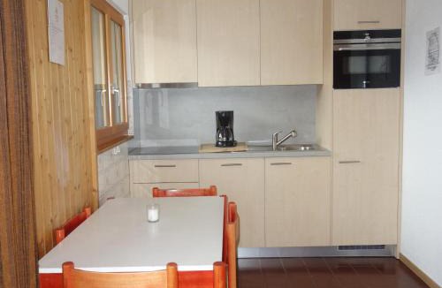 Salins Apartment | Apartment with balcony views of Nendaz