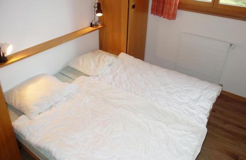Salins Apartment | Apartment with balcony views of Nendaz