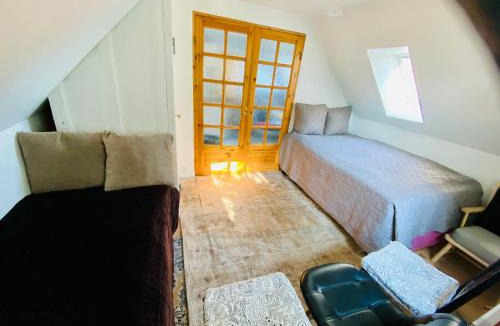 Tarnby Kommune Apartment | Apartment with free parking and access to garden