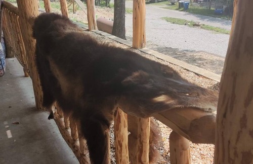 Rockaway Beach Apartment | Apartment with Terrace and Fireplace