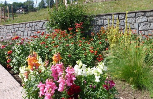 Bussang Ski Chalet | Apartment with terrace in chalet