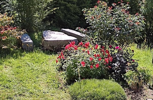 Bussang Ski Chalet | Apartment with terrace in chalet