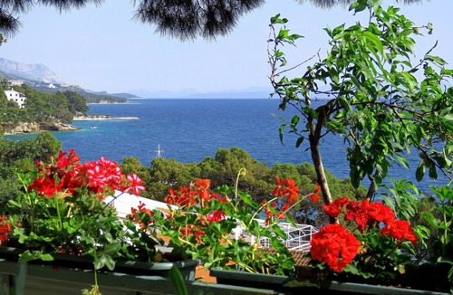 Brela Apartment | Apartment with three bedrooms (6 + 3)