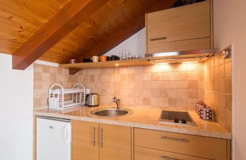 Gornje Selo Apartment | Apartment Zlendic