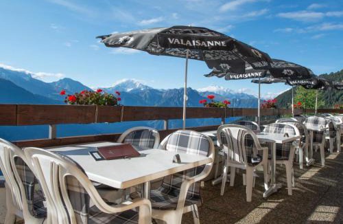 Riederalp Apartment | Apartment Zurschmitten 11 2- UG Süd by Interhome