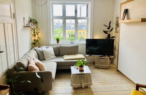 Copenhagen K Apartment | ApartmentInCopenhagen Apartment 1344