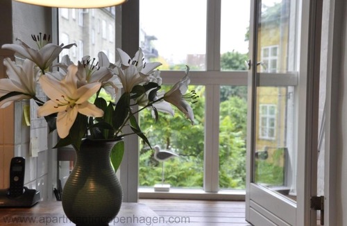 Norrebro Apartment | ApartmentInCopenhagen Apartment 241