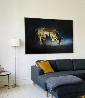 Osterbro Apartment | ApartmentInCopenhagen Apartment 1623