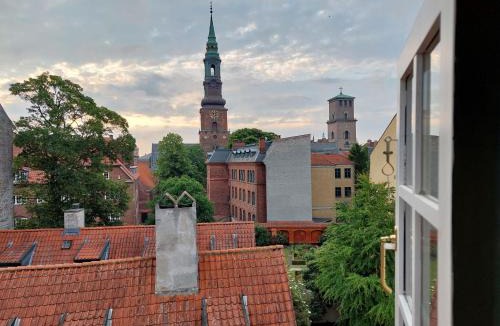 Copenhagen City Centre Apartment | ApartmentInCopenhagen Apartment 1705