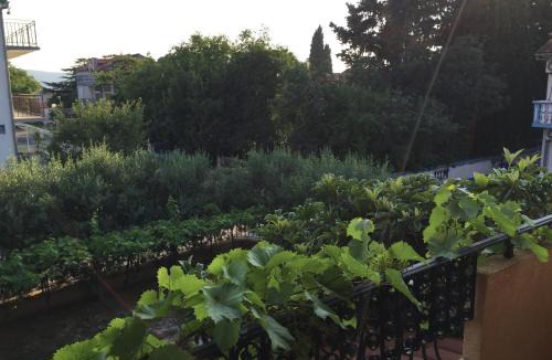 Biograd na Moru House | Apartments and Rooms Sinka