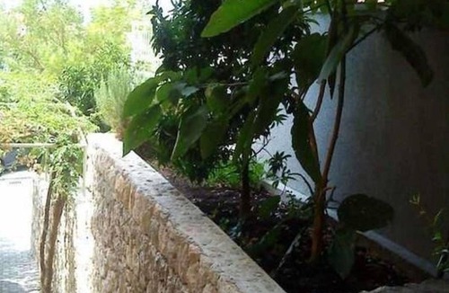 Bili brig Apartment | Apartments Bor (10559-A1) - Makarska