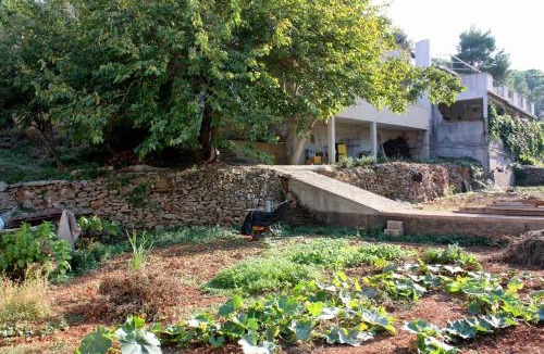 Vrbanj Apartment | Apartments by the sea Basina, Hvar - 9673
