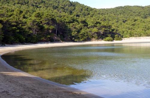 Kobas Apartment | Apartments by the sea Cove Blaca, Mljet - 4899