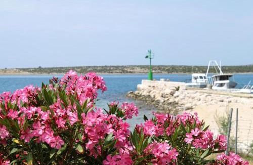 Kosljun Apartment | Apartments by the sea Kosljun, Pag - 3321