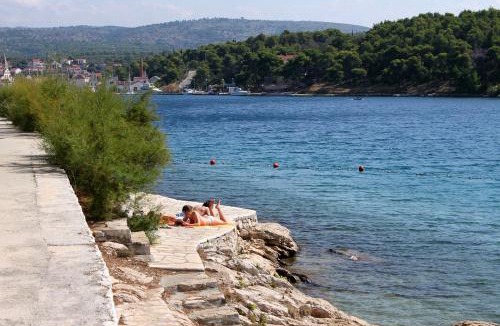 Milna (Brac) Apartment | Apartments by the sea Milna, Brac - 735