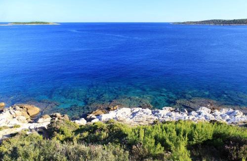 Milna Apartment | Apartments by the sea Milna, Vis - 8917