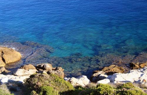Milna Apartment | Apartments by the sea Milna, Vis - 8917