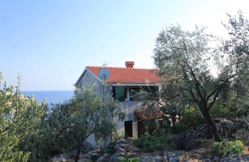 Molunat Apartment | Apartments by the sea Molunat, Dubrovnik - 8550