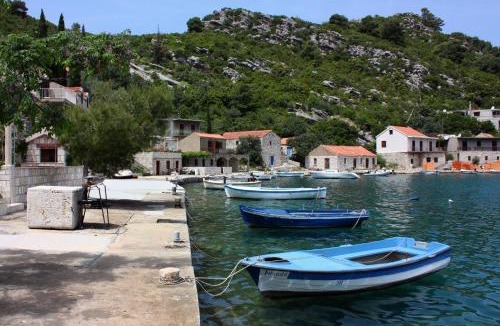 Prozurska Luka Apartment | Apartments by the sea Prozurska Luka, Mljet - 22336
