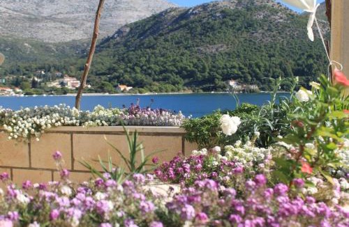 Slano Apartment | Apartments by the sea Slano, Dubrovnik - 8741